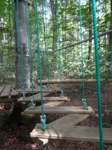 forest-school-climbing-forest-389752_1280