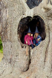 little-witches-in-the-harry-potter-tree-at-blenheim-palace
