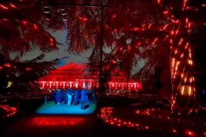 switch on christmas lights