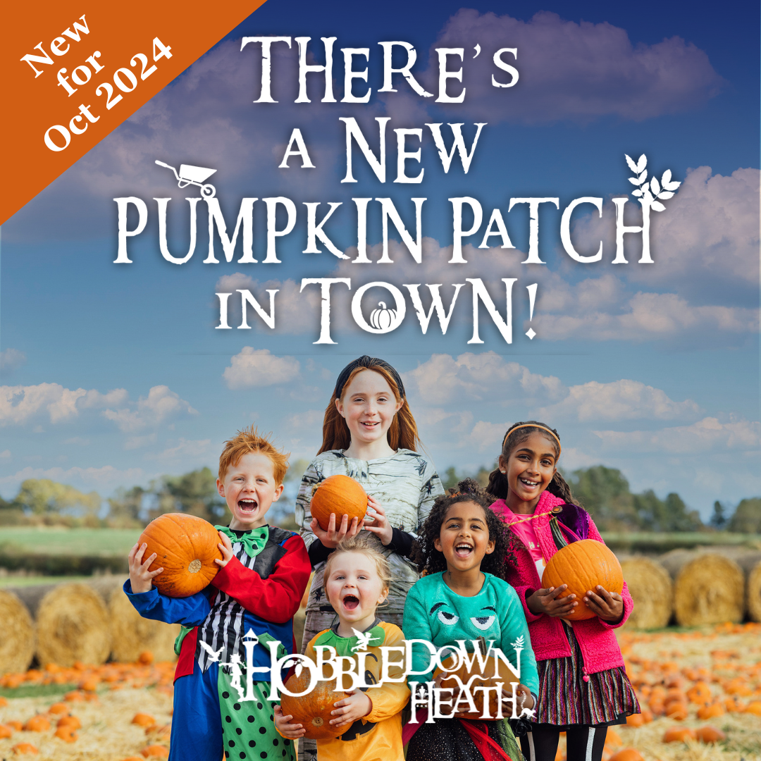 Hobbledown Heath Pumpkin Patch