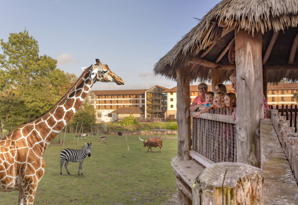 Stay for a Night, Play for a Year!