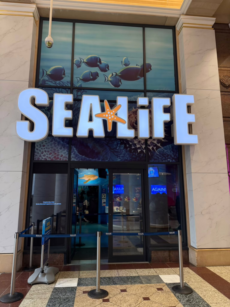 SEA LIFE Manchester review: February 2026