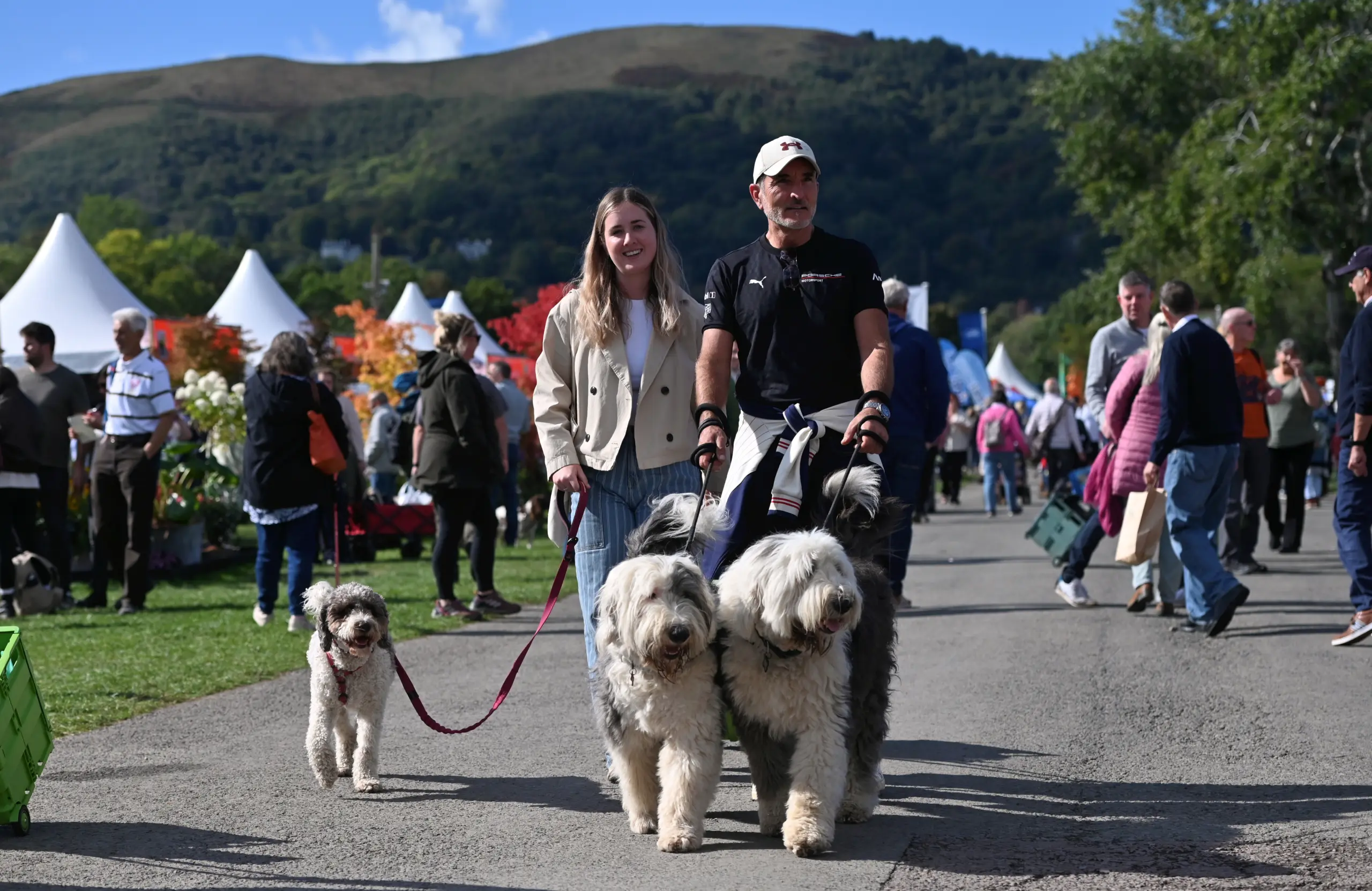 Malvern Autumn show